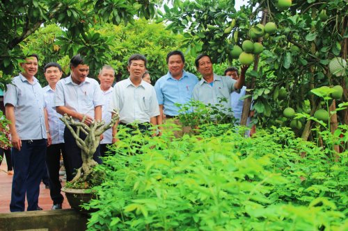 6. Các đại biểu đã tới thăm mô hình vườn hộ của hội viên nông dân Đông Khê..jpg